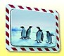 Nerozbitn� zrcadlo 800x600 mm ANTIFROST